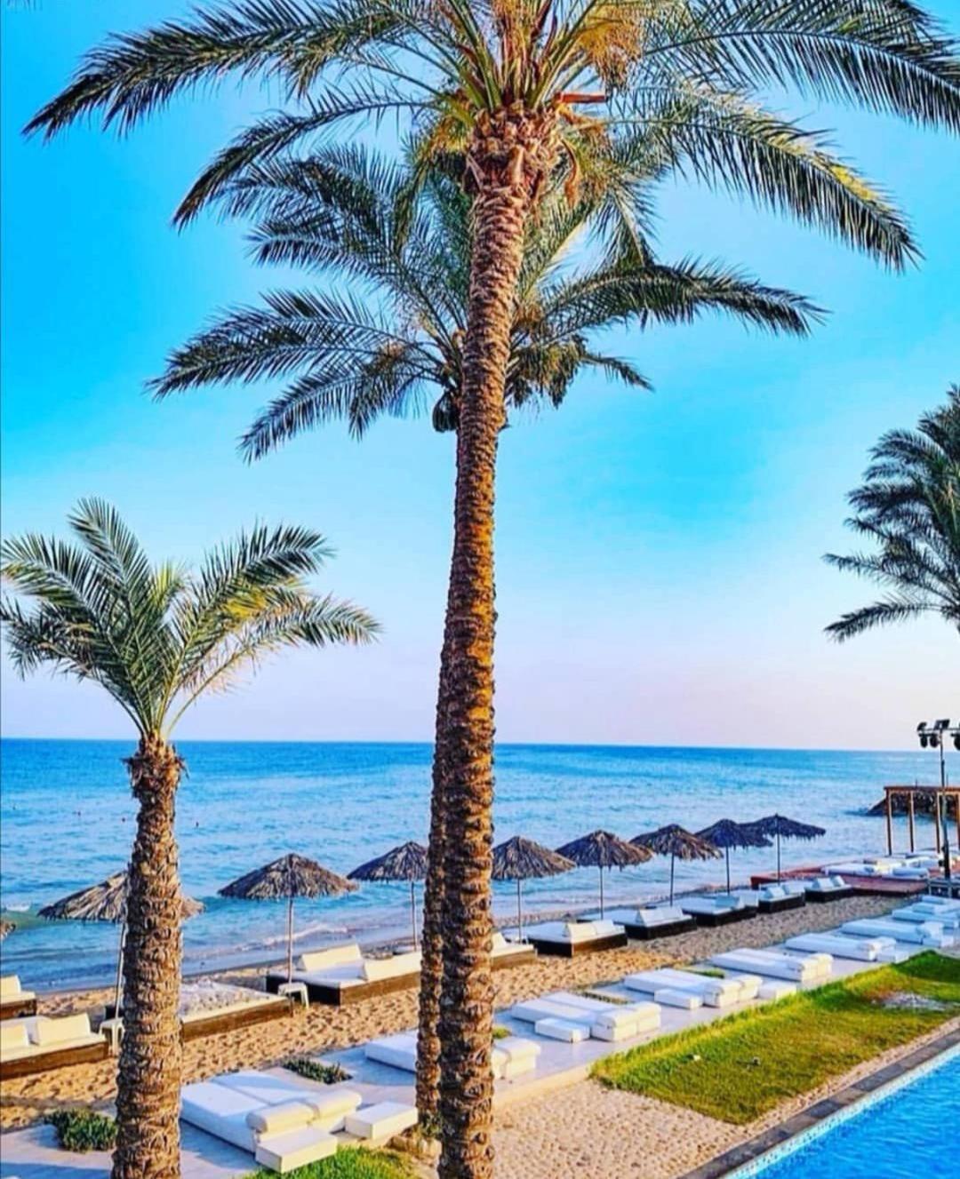 Jhotelresorts Damour Exterior foto